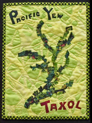 Photo by ThirdEyePhotog.com