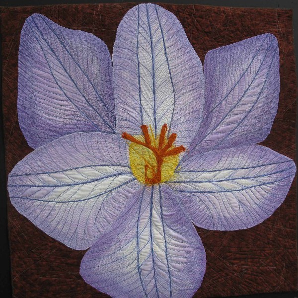 Crocus by Sandi Goldman